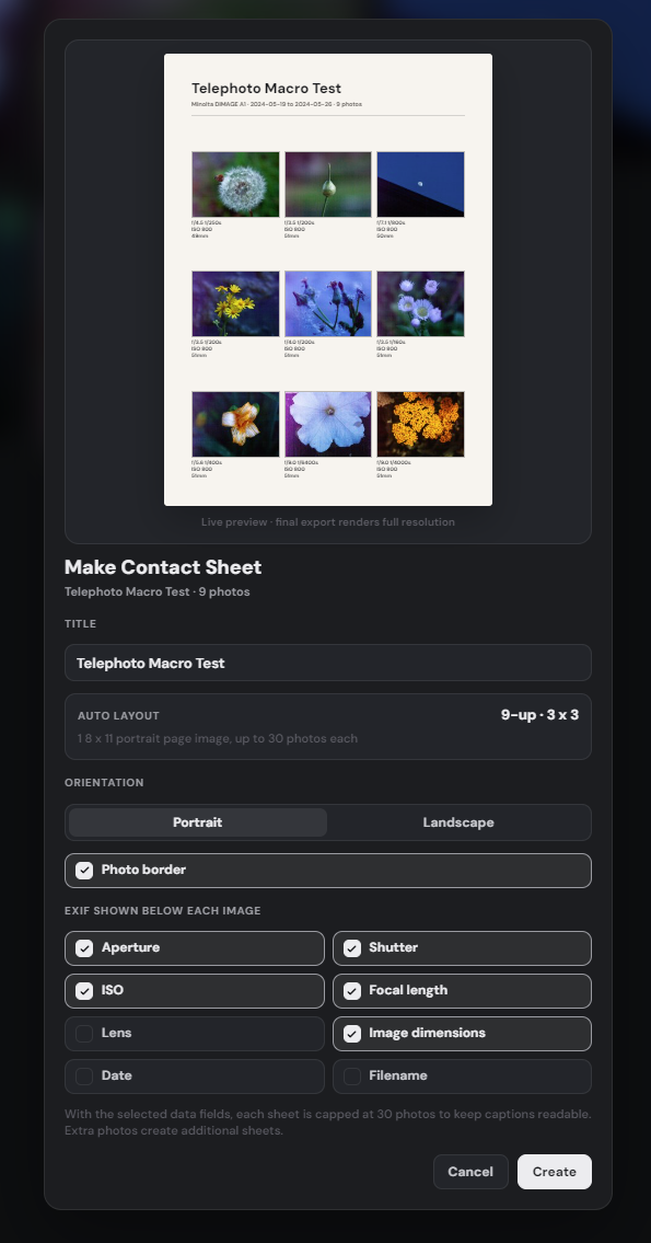 DigiCam Lab contact sheet export window — layout preview and EXIF field options
